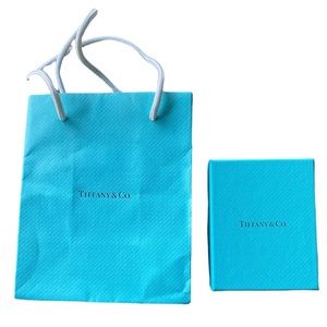 Tiffany 5x6 bag and box